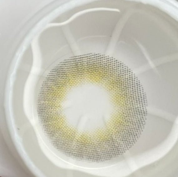 Olola A.ble Gray (10p)