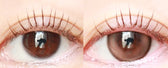 Olola Meow Coon Brown (10p)