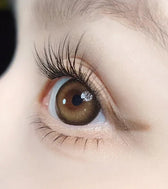 OLOLA Siren Amber Brown Monthly