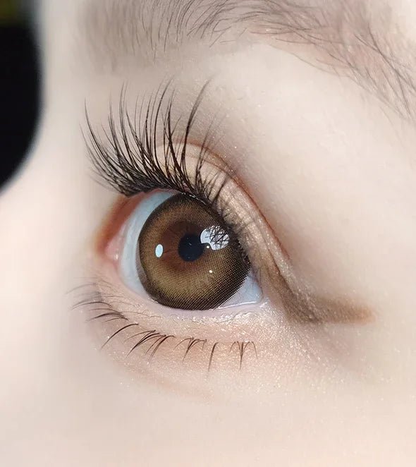 OLOLA Siren Amber Brown Monthly