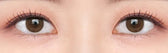 Shine Touch Milky 1Day Brown (20p) colored contact lens, 12.7mm graphic diameter, Daily wear