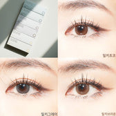 Shine Touch Milky 1Day Choco (20p) colored contact lens, 12.7mm graphic diameter, Daily wear
