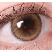 Olens ViVi Ring 1Day Beige (10p) — single-eye close-up showing the contact lens appearance