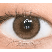 Olens ViVi Ring 1Day Brown (10p) — single-eye close-up showing the contact lens appearance