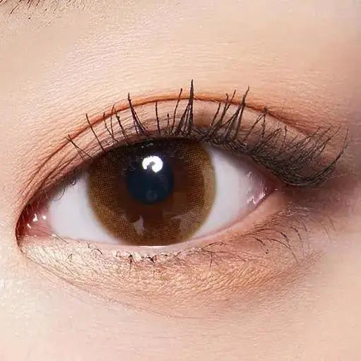 LensTown 17Again Brown — single-eye close-up showing the contact lens appearance