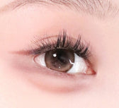 LensTown 247 Bom Brown (10p) colored contact lens, 13.4mm graphic diameter, Daily wear