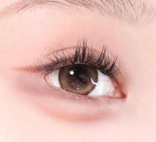 LensTown 247 Bom Brown (10p) colored contact lens, 13.4mm graphic diameter, Daily wear