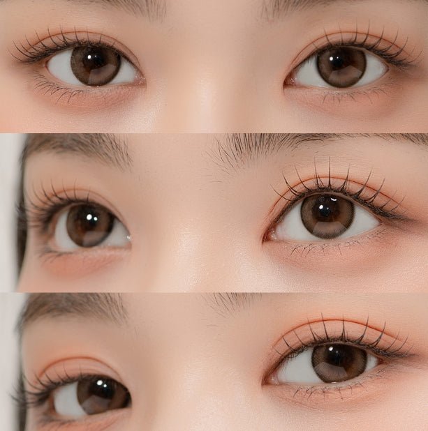 LensTown 247 Bom Brown (10p) colored contact lens, 13.4mm graphic diameter, Daily wear
