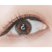 LensTown 247 With Me Brown (10p) — single-eye close-up showing the contact lens appearance