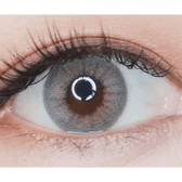 LensTown 247 With Me Gray (10p) — single-eye close-up showing the contact lens appearance
