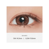 LensVery Add Brown — contact lens product information graphic