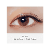 LensVery Add Choco — contact lens product information graphic