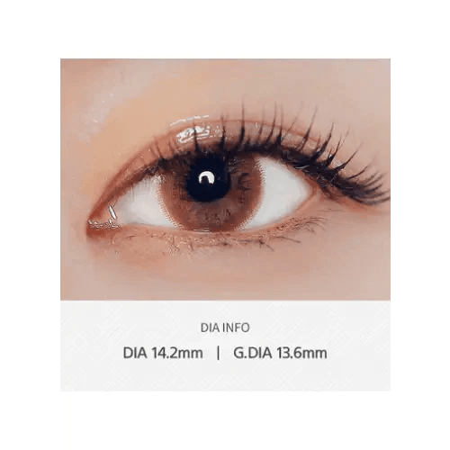 LensVery Add Choco — contact lens product information graphic