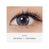LensVery Add Gray — single-eye close-up showing the contact lens appearance