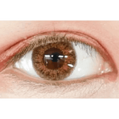 LensTown Back to Basic July Brown — single-eye close-up showing the contact lens appearance