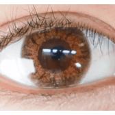 LensTown Back to Basic July Brown — single-eye close-up showing the contact lens appearance