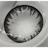 LensTown Back to Basic Macaron Gray — contact lens displayed in a blister pack