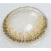 LensTown Back to Basic Street Ash Beige — contact lens displayed in a blister pack