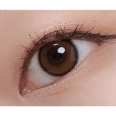 LensTown Beloved Royal Brown — single-eye close-up showing the contact lens appearance