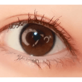 LensTown Beloved Royal Brown — single-eye close-up showing the contact lens appearance