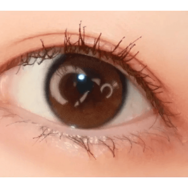 LensTown Beloved Royal Brown — single-eye close-up showing the contact lens appearance