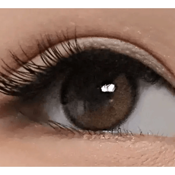 LensTown Beloved Royal Brown — single-eye close-up showing the contact lens appearance