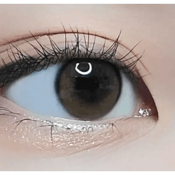 LensTown Beloved Royal Brown — single-eye close-up showing the contact lens appearance