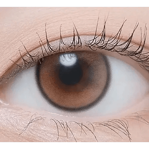 LensTown Beloved Royal Brown — single-eye close-up showing the contact lens appearance