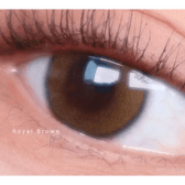 LensTown Beloved Royal Brown — single-eye close-up showing the contact lens appearance