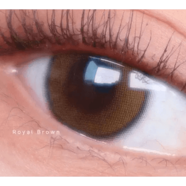 LensTown Beloved Royal Brown — single-eye close-up showing the contact lens appearance