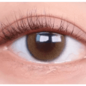 LensTown Beloved Royal Brown — single-eye close-up showing the contact lens appearance