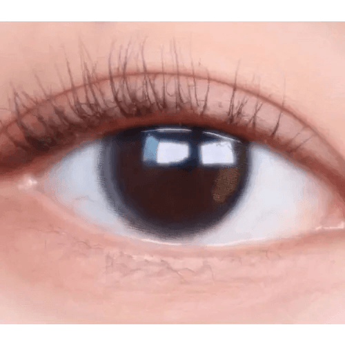 LensTown Beloved Serum Brown — single-eye close-up showing the contact lens appearance