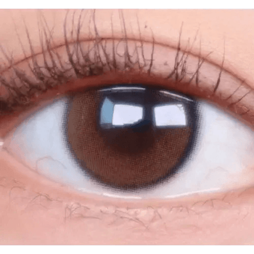 LensTown Beloved Water Brown — single-eye close-up showing the contact lens appearance