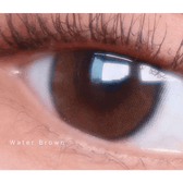 LensTown Beloved Water Brown — single-eye close-up showing the contact lens appearance