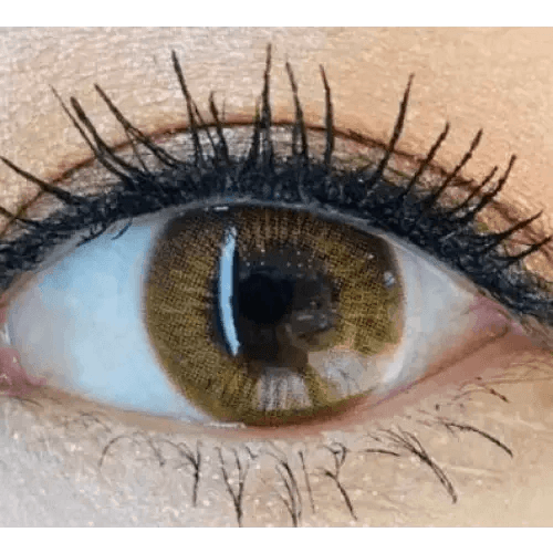 Betty 3 Color Brown 12.9mm