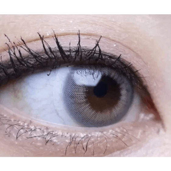 Betty 3 Color Gray 12.9mm