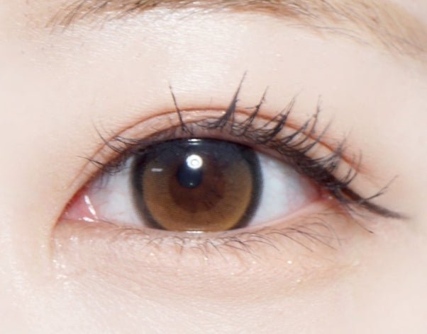 Olens Big Glowy Mocha Brown colored contact lens, 13.6mm graphic diameter, Monthly wear