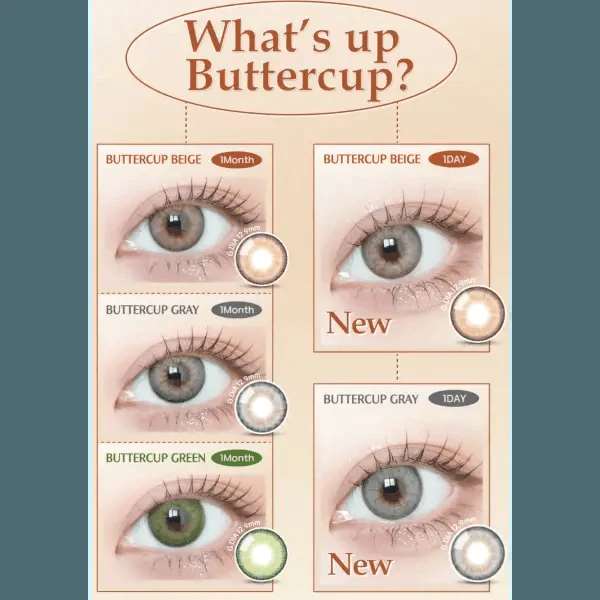 Buttercup 1Day Gray (10p)