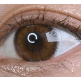 LensVery Celina Brown (10p) — single-eye close-up showing the contact lens appearance