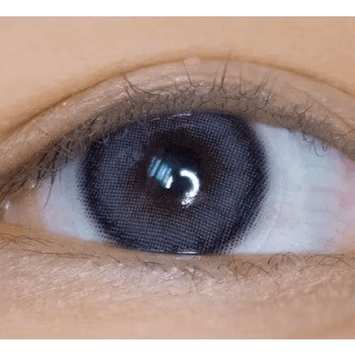 LensVery Celina Gray (10p) — single-eye close-up showing the contact lens appearance