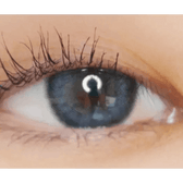LensVery Celina Gray (10p) — single-eye close-up showing the contact lens appearance