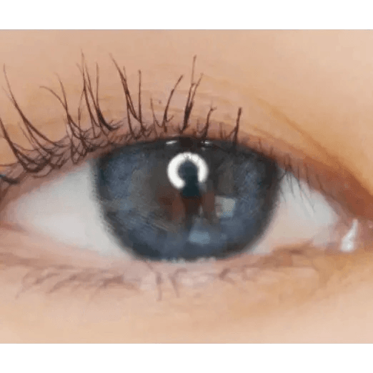 LensVery Celina Gray (10p) — single-eye close-up showing the contact lens appearance