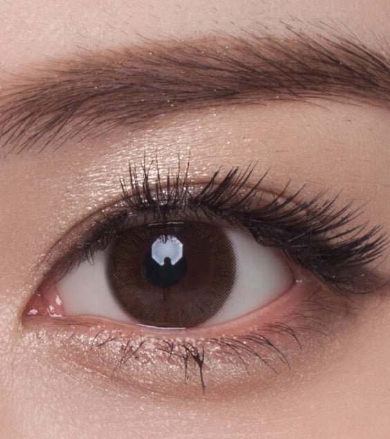 Chagall Black Toric colored contact lens, 13.4mm graphic diameter, 3-6 Months wear