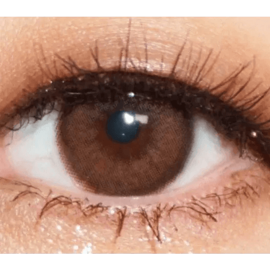 LensTown Choco Pong Edge Caramel Choco — single-eye close-up showing the contact lens appearance
