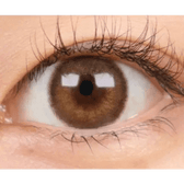 LensTown Choco Pong Edge Milk Choco — single-eye close-up showing the contact lens appearance