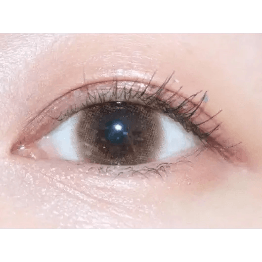 LensTown Choco Pong Milk Choco — single-eye close-up showing the contact lens appearance