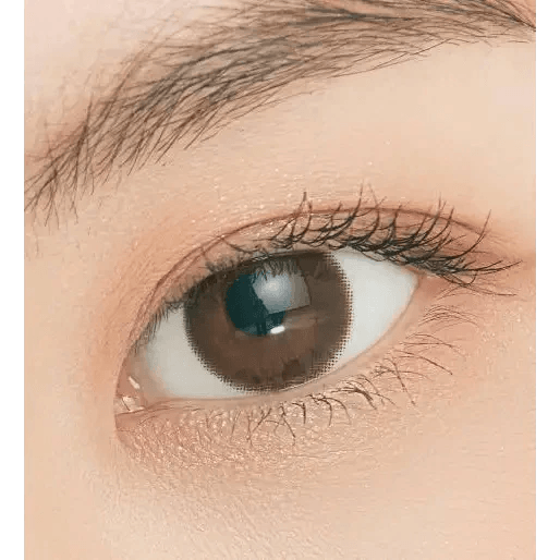 LensTown Chocopong Dark Choco — single-eye close-up showing the contact lens appearance