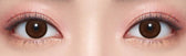 Olens Classi Artring Brown colored contact lens, 13.0mm graphic diameter, 3-6 Months wear