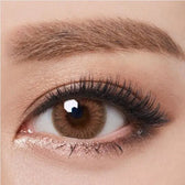 Olens Classi Mistique Brown — single-eye close-up showing the contact lens appearance