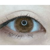 Olens Classi Mistique Brown — single-eye close-up showing the contact lens appearance